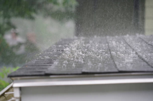 Best Chimney Flashing Repair  in Dixon, CA